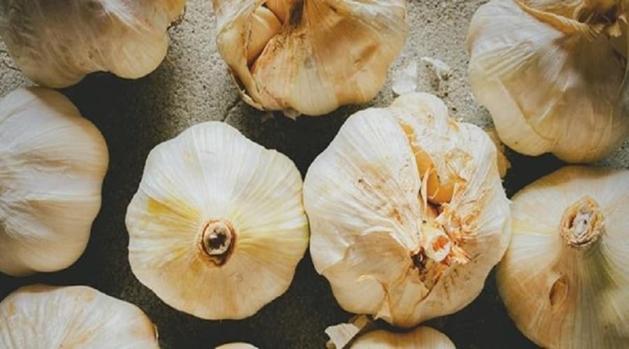 prodotti-alimentari-per-la-ristorazione